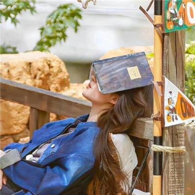 蒸气室
